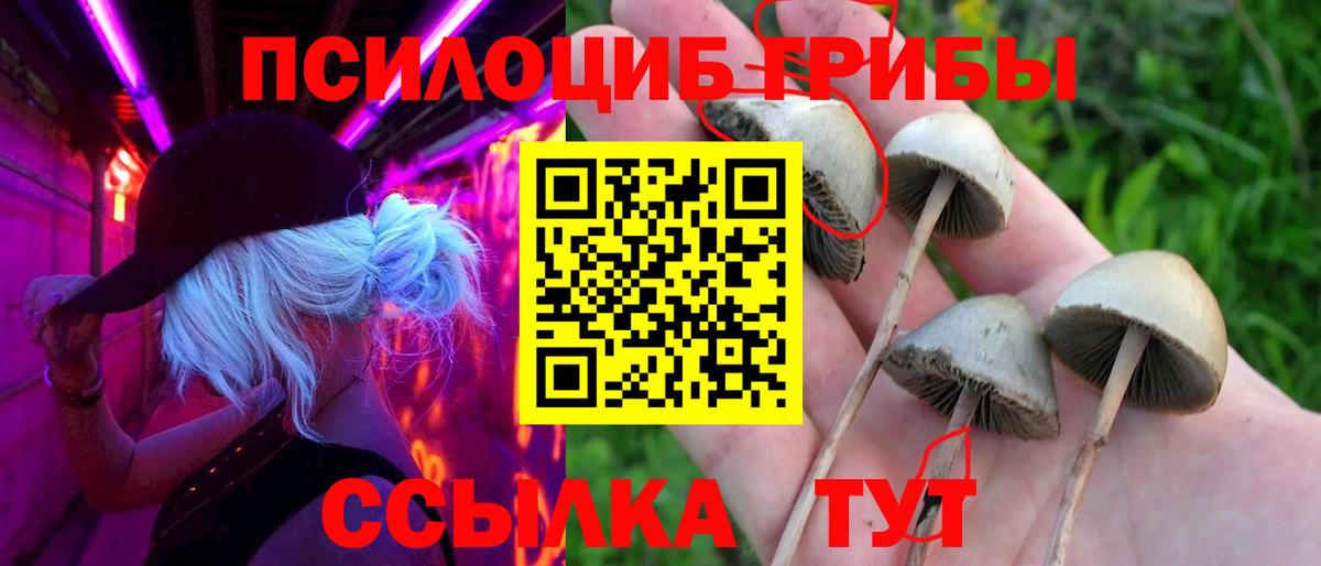 даркнет сайт  Псилоцибиновые грибы Psilocybe  Вход с VPN  Альметьевск 